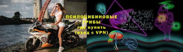 бошки Дмитровск