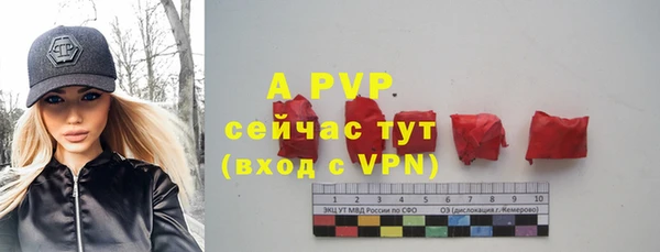 apvp Дмитриев
