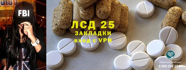 ГАЛЛЮЦИНОГЕННЫЕ ГРИБЫ Гусев