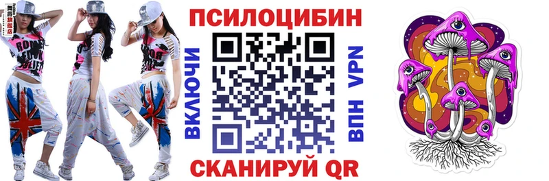 Купить закладки  Ивангород  Галлюциногенные грибы Cubensis 